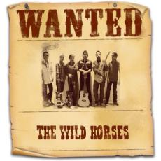 THE WILD HORSES